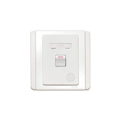 Bộ công kết nối cầu chì Schneider E3031DFSG_WW
