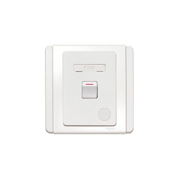 Bộ công kết nối cầu chì Schneider E3031DFSG_WW