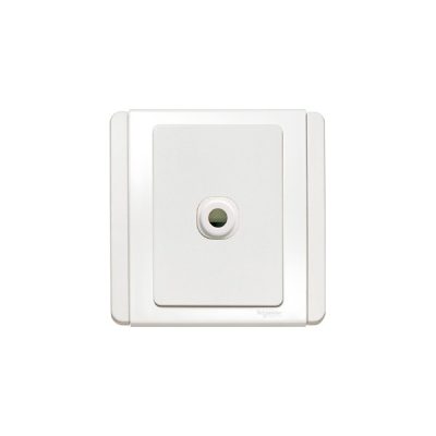 Bộ công kết nối Schneider E3031TB_WW