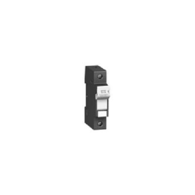 Cầu chì Schneider 32A DF102V