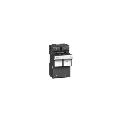 Cầu chì Schneider 125A DF221NV