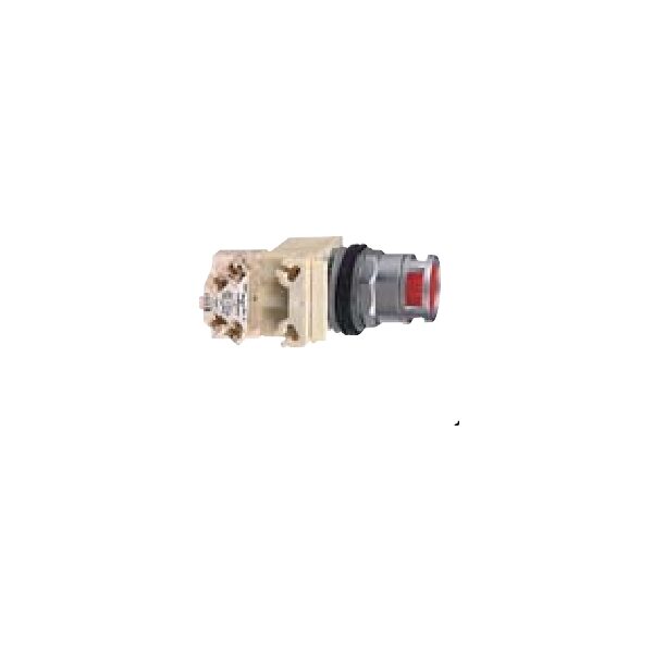 Nút nhấn Schneider 9001K3L38LGGH13