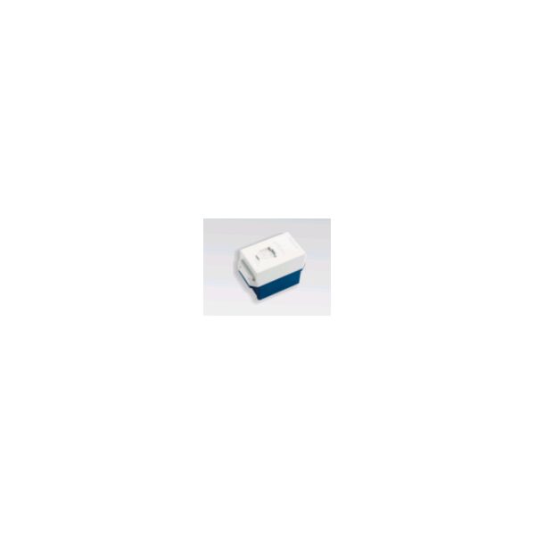 Ổ cằm điện thoại 4 cực WEG2364