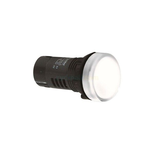 Đèn báo Schneider XA2EVF1LC