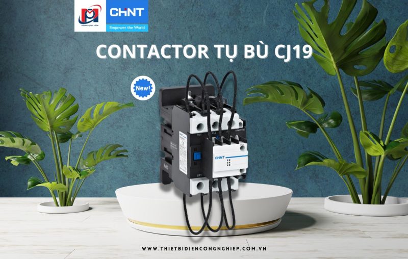 CONTACTOR TỤ BÙ CJ19 CHINT – SỰ KẾT HỢP HOÀN HẢO GIỮA HIỆU SUẤT VÀ TIẾT KIỆM NĂNG LƯỢNG
